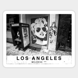 Los Angeles Street Art Sticker